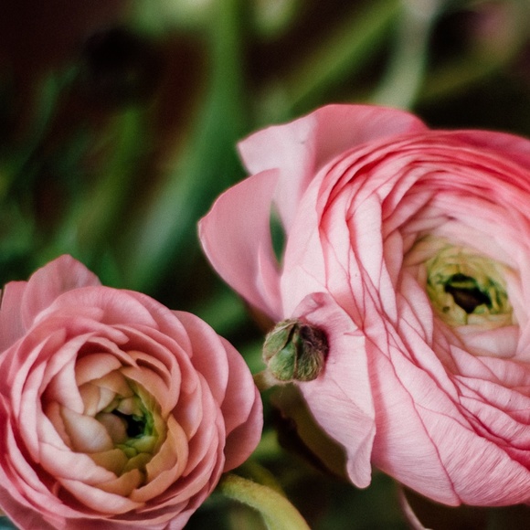 Meet your Posher, Steph - Picture 1 of 1